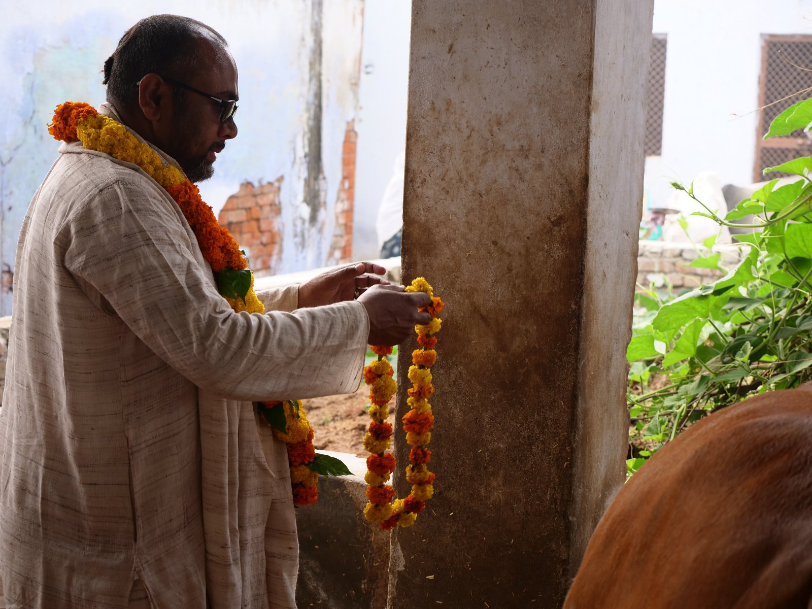  98 Gopashtami Radha kunda Govardhan 19.11.04